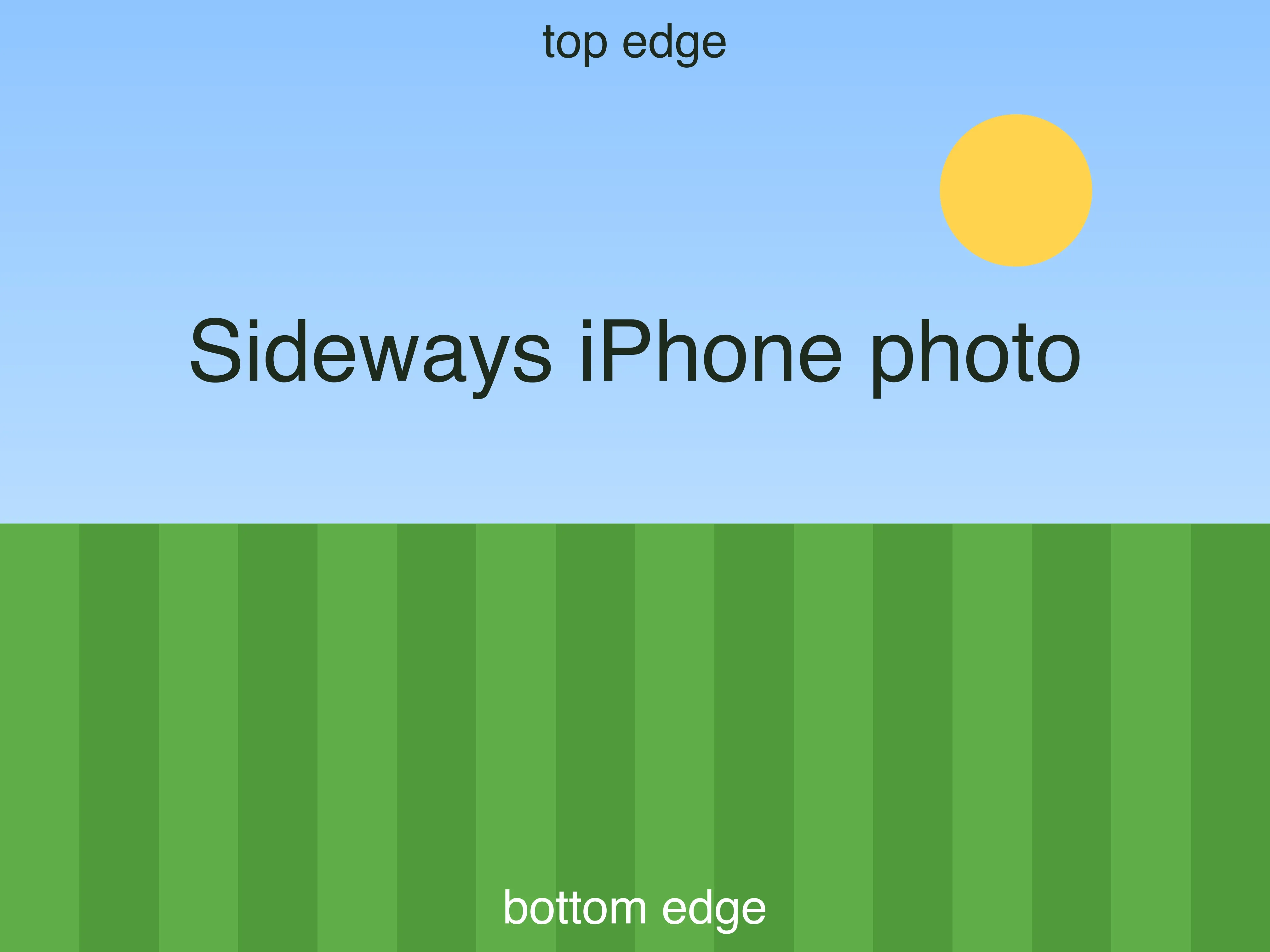 Test picture: a sideways photo of a striped lawn under a blue sky