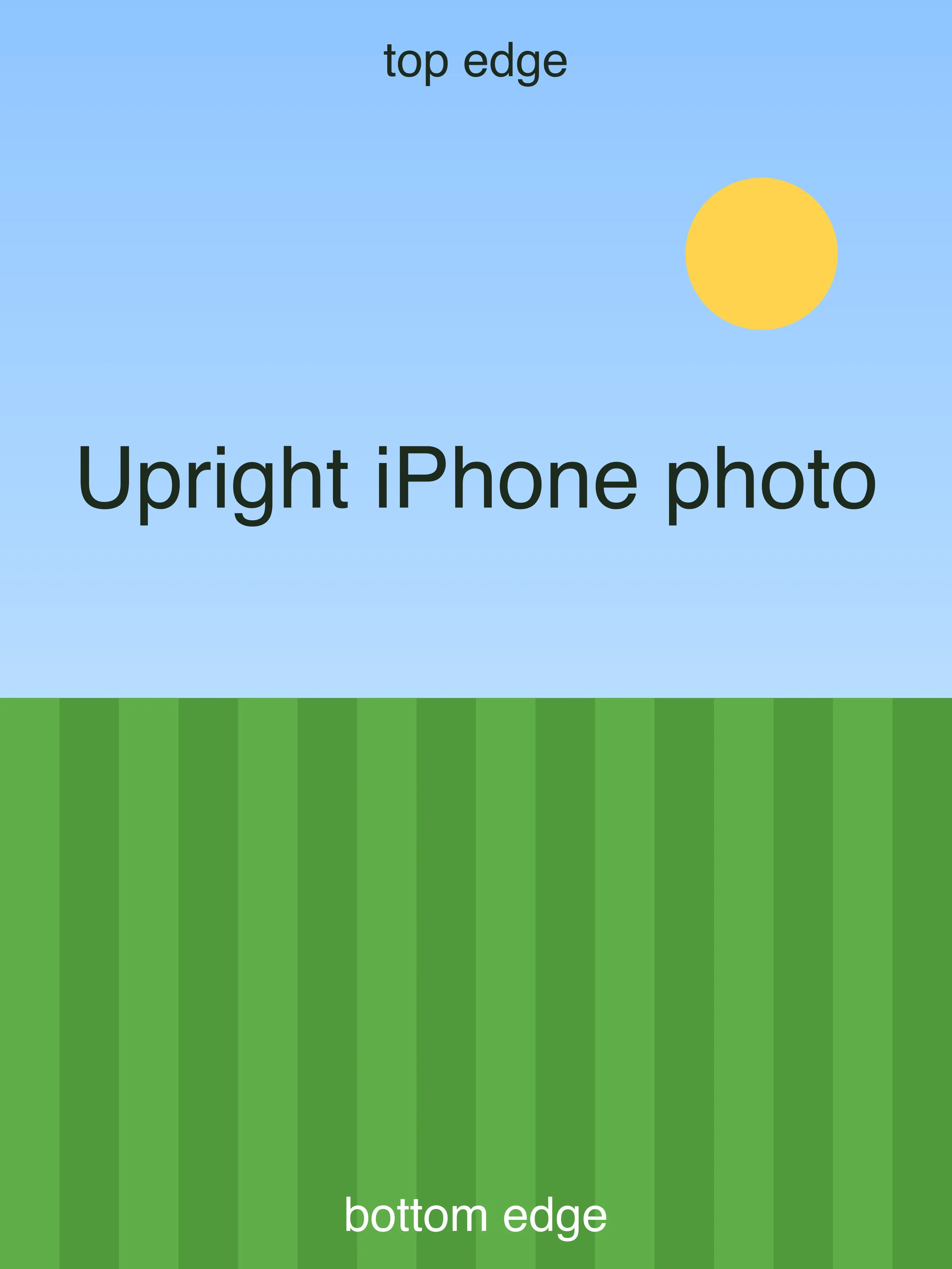 Test picture: an upright photo of a striped lawn under a blue sky